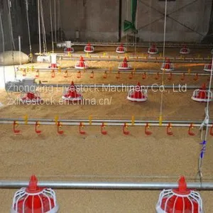 Chicken Pan Feeding System thumbnail-3
