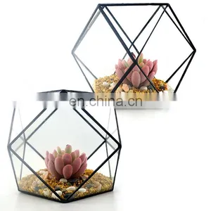 Geometric Terrarium Geometric Glass Terrarium Wholesale thumbnail-1