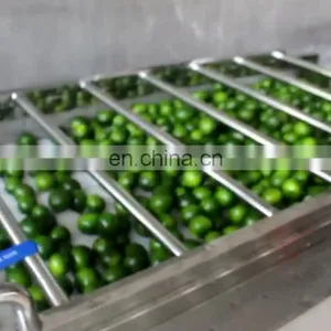 Commercial Apple Fruit Grader Apple Sorting Machine thumbnail-1
