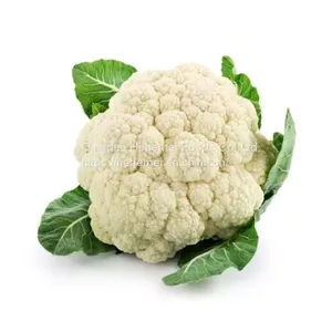 Cauliflower, Broccoli,carrots,sweet Corn, Garlic Frozen Vegetables thumbnail-1