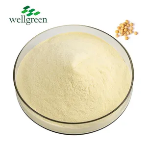 Wellgreen Supply Non-GMO Soybean Extract 20%-40% Soy Isoflavones Soybean Soluble Polysaccharides Powder thumbnail-1