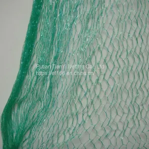 HDPE Plastic Anti Bird Net Agricultural Plastic Products Garden Netting Greenhouse Planting Net thumbnail-4