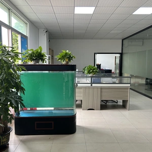 Dongguan Zixu Toy., LTD company overview - view 2 thumbnail