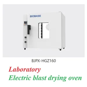 Laboratory Electric Blast Drying Oven thumbnail-1