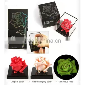 Magic Real Rose With Color Change First World thumbnail-1