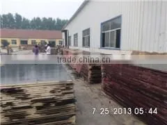 Czech Market Film Faced Plywood thumbnail-6