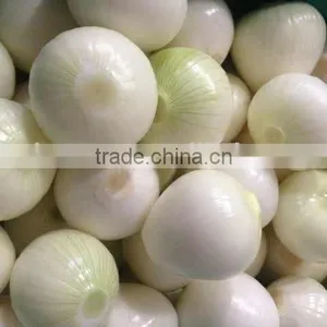 2014 Crop Fresh Yellow Onion High Quality and Good Price thumbnail-2