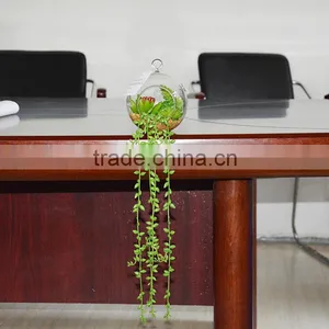 Artificial Succulent Plant Glass Globe Hanging Terrarium thumbnail-1