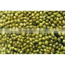 Coriander Seeds thumbnail-1