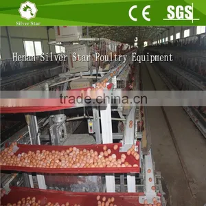 Silver Star Patent Egg Collection Equipments Useful For Layer Sheds Cages System thumbnail-4