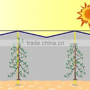30% Agriculture HDPE Tape Shading Net , Cheap Netting thumbnail-4