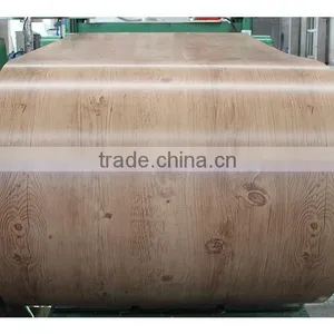Hot Sale Galvanized Price Steel Coil/PPGI PPGL for Building Material thumbnail-6