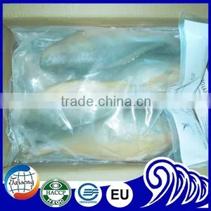 Croaker Fish Seafood Frozen Yellow Croaker Fish Promoting Price thumbnail-5