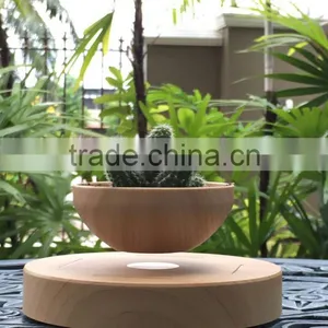 Electric Mini Air Levitating Plant Pots thumbnail-2