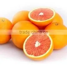 Hot Sale High Quality Fresh Blood Orange thumbnail-1