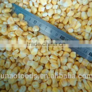 Nourishing Fresh Sweet Corn for Human thumbnail-3