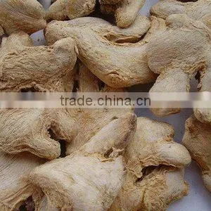 Gan Jiang P.E thumbnail-1