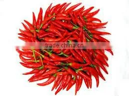 Fresh Chilli- Good Quality Spices for Cooking thumbnail-5