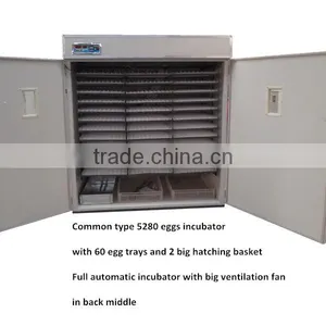 Automatic Ostrich Egg Incubator for Ostrich Farm WQ-5280 thumbnail-2