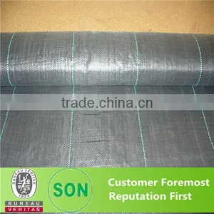 Nonwoven Fabric Pp/pe / Ground Cover/ Weed Mat thumbnail-3