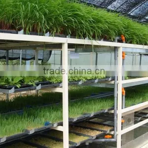 BK Conveyor Culture thumbnail-2