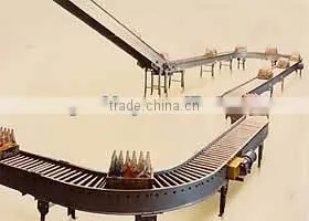 Case Conveyor Systems thumbnail-1
