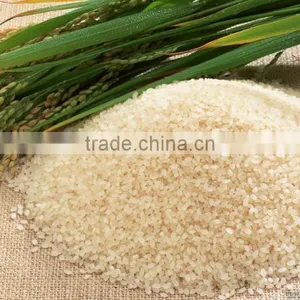 MIngder Millet/Sorghum Rice Color Sorter Machine With Competive Price thumbnail-5