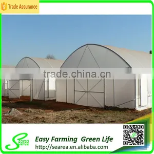 Searea Easy Farming Economical Single Tunnel Greenhouse thumbnail-2