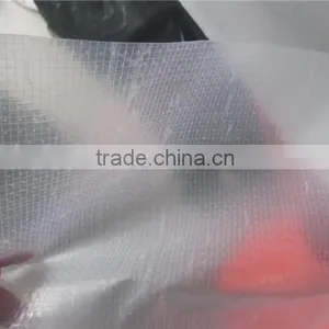 Cold Resistant Transparent pe Tarpaulin, Covering Tarpaulin, Waterproofing PE Tarpaulin thumbnail-1