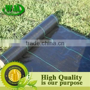 Agricultural Black Plastic Ground Cover thumbnail-4