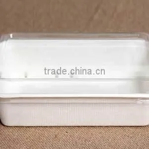 600ml Disposable Bagassse Food Packaging Box With PET Lid 175x120x45 HR13 thumbnail-2