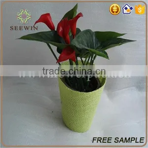 Paper Mesh Pot Covers for Plants thumbnail-2