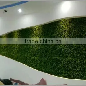 Indoor and Outdoor Decorative Green Plants Wall Make and Install thumbnail-3
