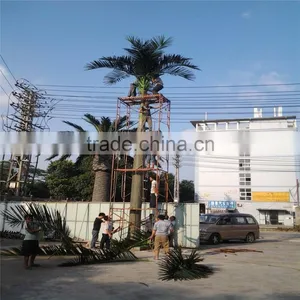 2017 Hot Sale Royal Palm Tree Ornamental Artificial Washingtonia Robusta Palm Trees for Sale thumbnail-2