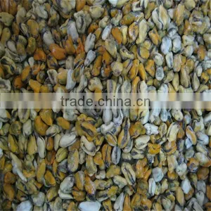 Seafood and Blue Mussel Shells thumbnail-1