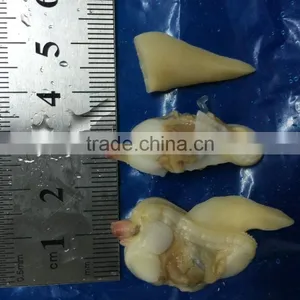 BQF Suff Clam Meat for USA Market thumbnail-5