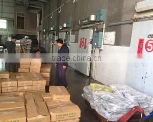 Shishi Rich Seafoods Co., Ltd. company overview - view 3 thumbnail