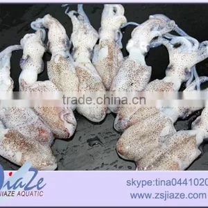 Frozen Seafood Baby Squid thumbnail-2