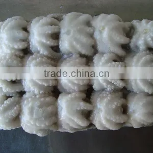 FRESH FROZEN BABY OCTOPUS FROM ALO SEAFOOD Co., thumbnail-2