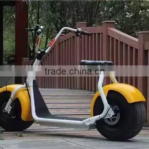 2017 Factory Direct Customized Size and Color Electric Bike 48v Fat Tire Citycoco 8 thumbnail-1