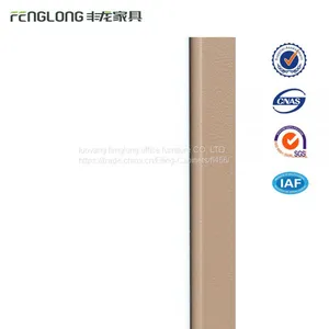 All Storage Steel Swing Door Filing Cabinet Factory Direct 2 Door File Cabinet thumbnail-4