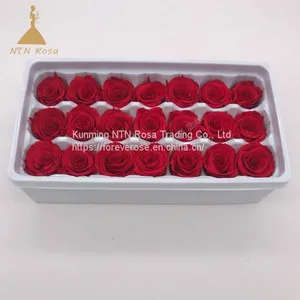 A Grade Everlasting Fresh Flower Decoration Rose Preserved Rose Head thumbnail-1