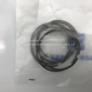 Original ZF 4WG200 Transmission Gearbox Spare Parts 0734 401 106 PISTON RING thumbnail-2