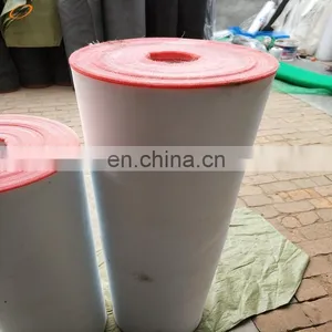 Agriculture HDPE Anti Insect Mesh, Transparent Plastic Aphids Proof Net,greenhouse Anti Fly Net thumbnail-1