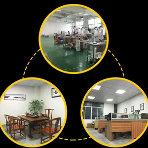 Shenzhen Sanwo Technology Co., Ltd company overview - view 2 thumbnail