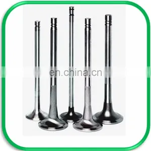 Truck Spare Parts Intake and Exhaust Engine Valve for Daf xf 105 95 106 thumbnail-1