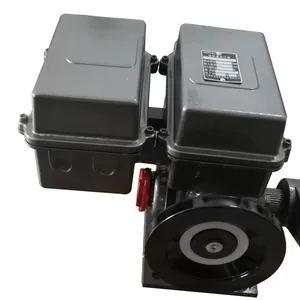 BS-60 /KF30H Base Type Electric Actuator thumbnail-5