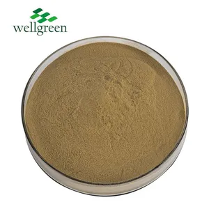 Bulk Health Care 40% Cholic Acid Raw Materials Bovine Bile Gall Ox Gallbladder Powder thumbnail-2