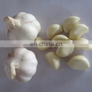 High Quality Garlic Peeling Machine / Garlic Skin Removing Machine thumbnail-4