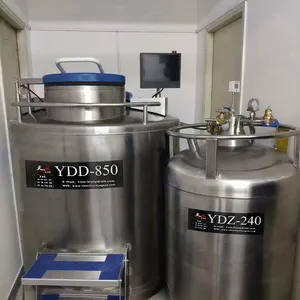 Thailand Filling Liquid Nitrogen Tank KGSQ Liquid Nitrogen Refrigerator thumbnail-3